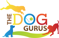 The Dog Gurus